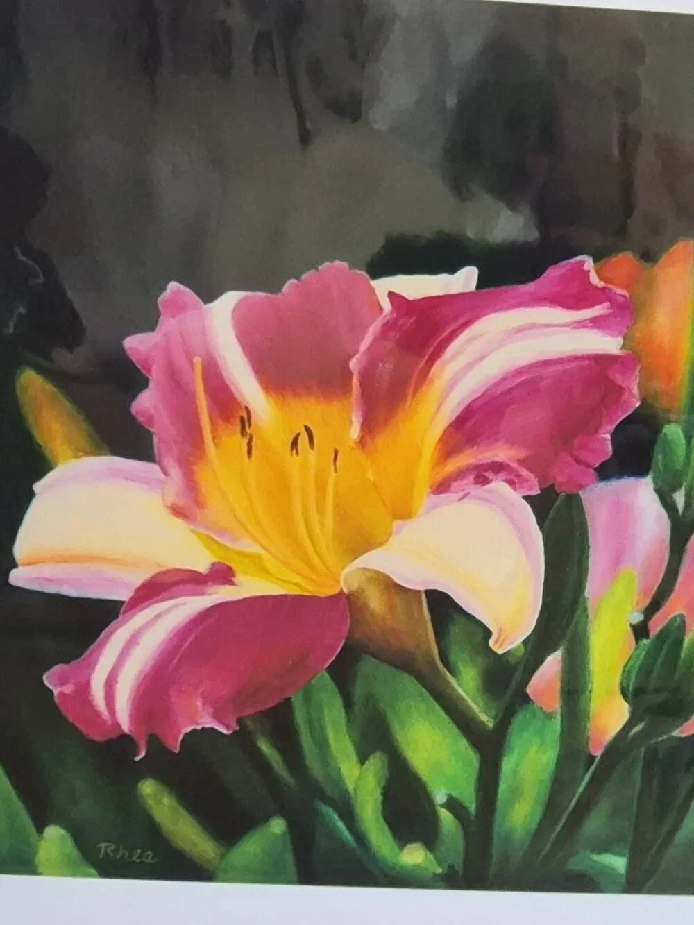 N/A brilliant floral